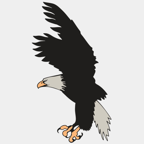 AR EAGLE 91 RC Thumbnail