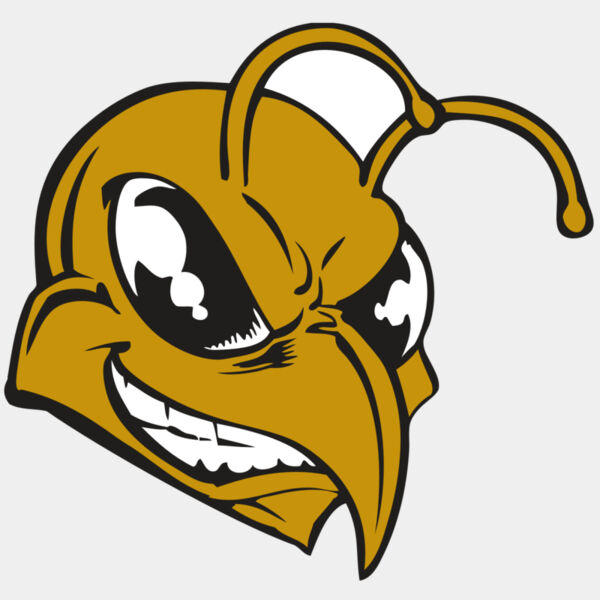 BAW BEE 18 RC Thumbnail