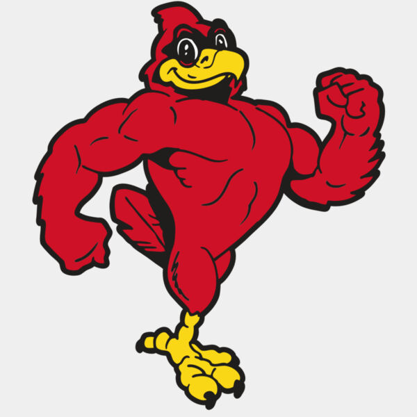 AR CARDINAL 41 RC Thumbnail