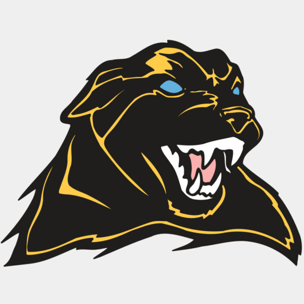 AR COUGAR 42 RC Thumbnail