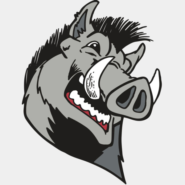 AR RAZORBACK 15 RC Thumbnail