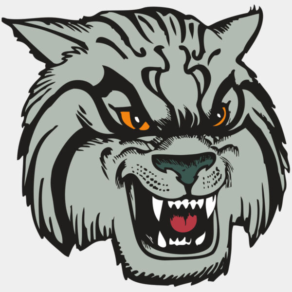 BAW WILDCAT 03 RC Thumbnail