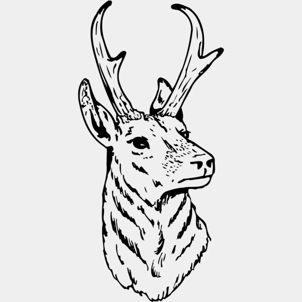 DEER023 Thumbnail