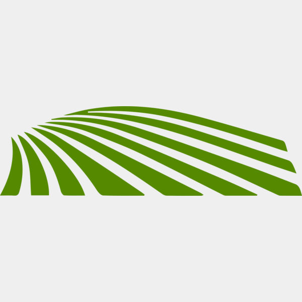 67 Rice Field Thumbnail