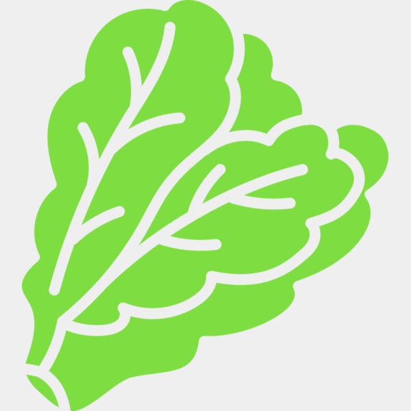 Lettuce Thumbnail