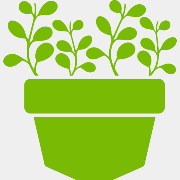 Succulent Plant 3 Thumbnail