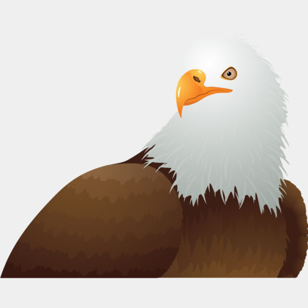 USA America Bald Eagle 4 Thumbnail